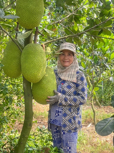 Chính chủ bán đất vườn thích hợp làm khu nghỉ dưỡng hoặc trang trại ở Cao Lãnh - Đồng Tháp. - Ảnh chính